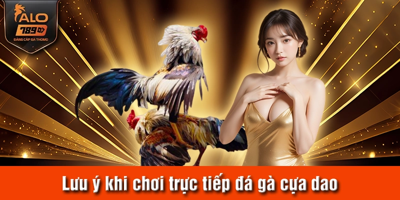 Lưu ý khi chơi trực tiếp đá gà cựa dao