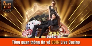 Tổng quan thông tin về BBIN Live Casino